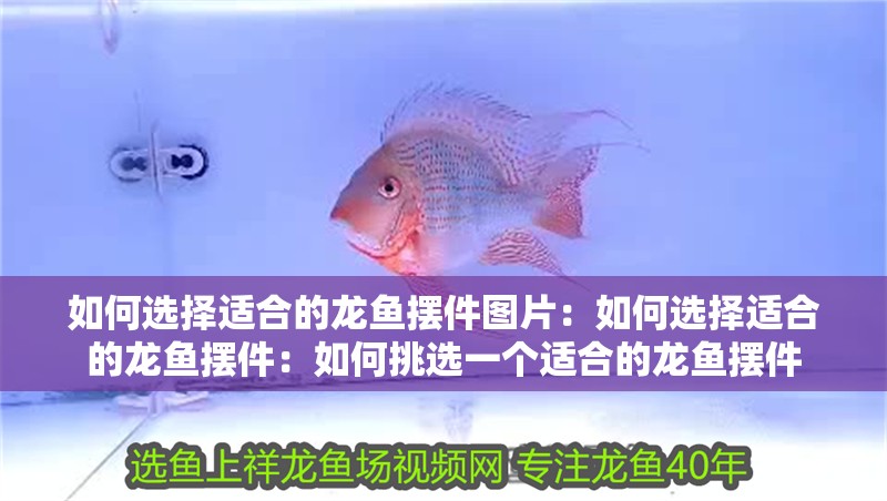 如何選擇適合的龍魚擺件圖片：如何選擇適合的龍魚擺件：如何挑選一個適合的龍魚擺件
