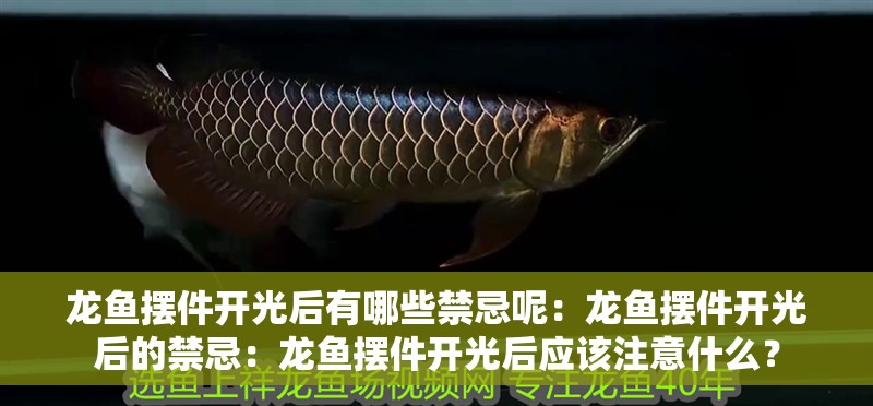 龍魚擺件開光后有哪些禁忌呢：龍魚擺件開光后的禁忌：龍魚擺件開光后應該注意什么？
