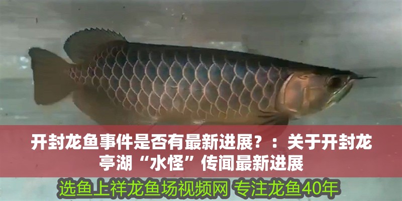 開封龍魚事件是否有最新進展？：關于開封龍亭湖“水怪”傳聞最新進展