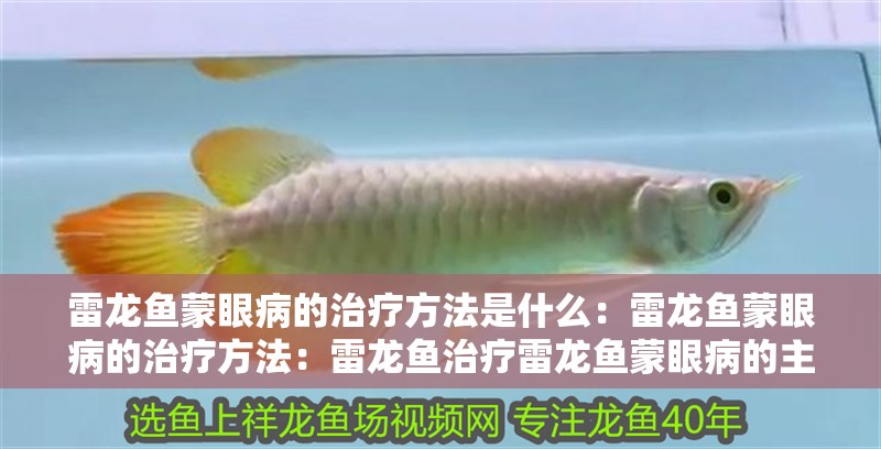 雷龍魚蒙眼病的治療方法是什么：雷龍魚蒙眼病的治療方法：雷龍魚治療雷龍魚蒙眼病的主要原因是什么，雷龍魚蒙眼病的原因