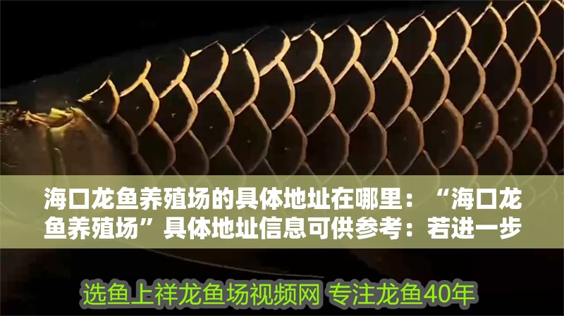 海口龍魚養殖場的具體地址在哪里：“海口龍魚養殖場”具體地址信息可供參考：若進一步確認