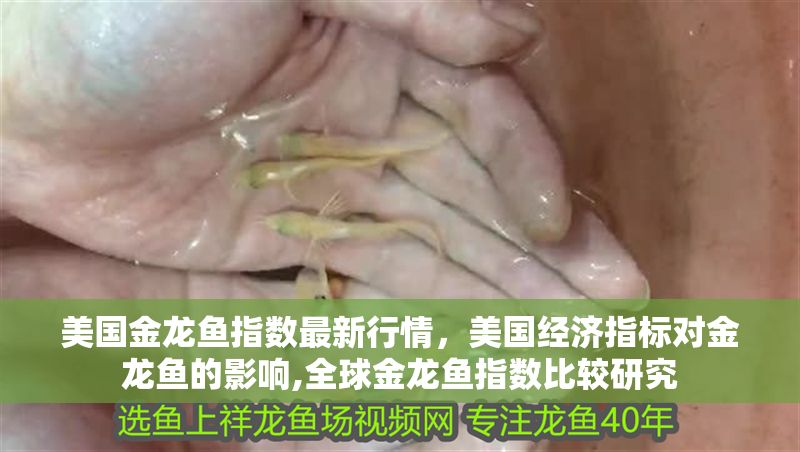 美國金龍魚指數最新行情，美國經濟指標對金龍魚的影響,全球金龍魚指數比較研究