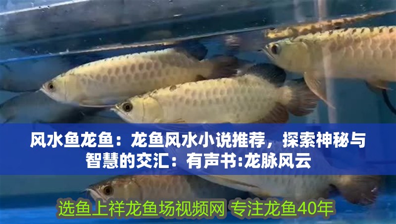 風水魚龍魚：龍魚風水小說推薦，探索神秘與智慧的交匯：有聲書:龍脈風云