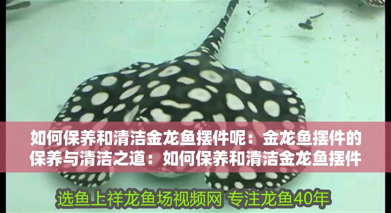 如何保養和清潔金龍魚擺件呢：金龍魚擺件的保養與清潔之道：如何保養和清潔金龍魚擺件