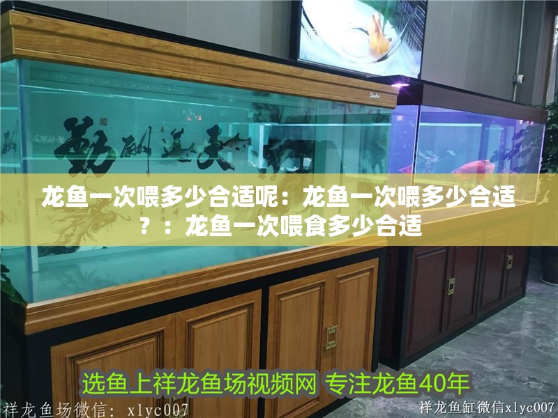 龍魚一次喂多少合適呢：龍魚一次喂多少合適？：龍魚一次喂食多少合適