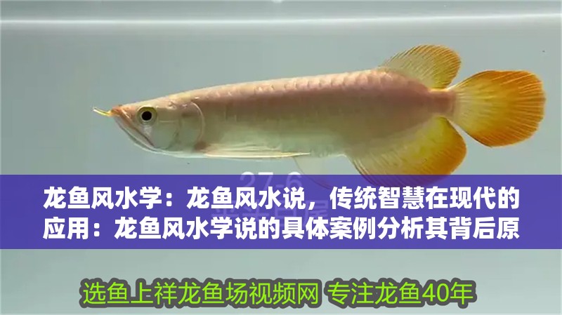 龍魚(yú)風(fēng)水學(xué)：龍魚(yú)風(fēng)水說(shuō)，傳統(tǒng)智慧在現(xiàn)代的應(yīng)用：龍魚(yú)風(fēng)水學(xué)說(shuō)的具體案例分析其背后原理與實(shí)踐意義