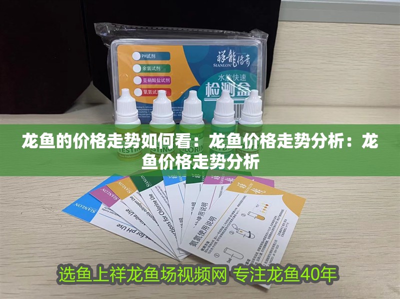 龍魚的價格走勢如何看：龍魚價格走勢分析：龍魚價格走勢分析
