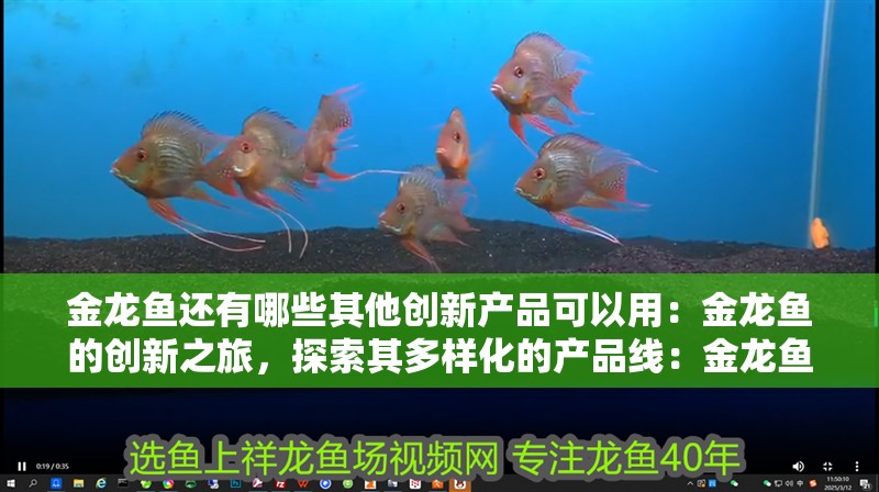 金龍魚還有哪些其他創新產品可以用：金龍魚的創新之旅，探索其多樣化的產品線：金龍魚的健康營養產品