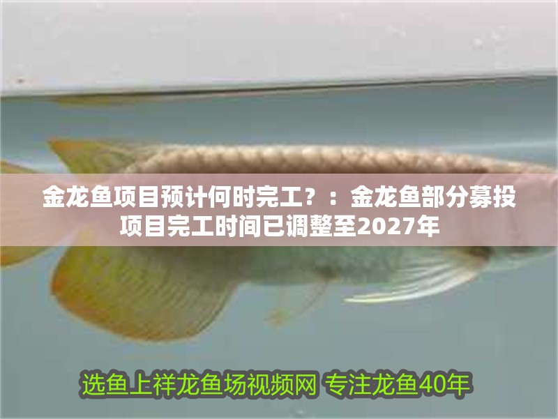 金龍魚項目預計何時完工？：金龍魚部分募投項目完工時間已調整至2027年