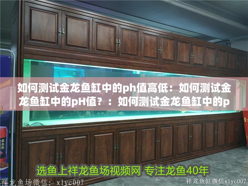 如何測試金龍魚缸中的ph值高低：如何測試金龍魚缸中的pH值？：如何測試金龍魚缸中的ph值