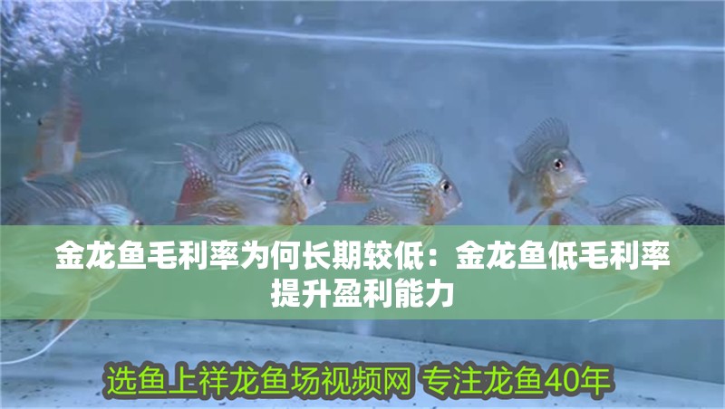 金龍魚毛利率為何長(zhǎng)期較低：金龍魚低毛利率提升盈利能力