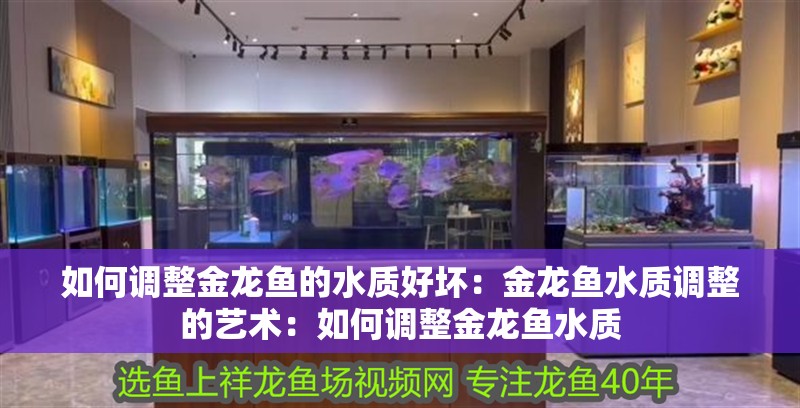如何調整金龍魚的水質好壞：金龍魚水質調整的藝術：如何調整金龍魚水質