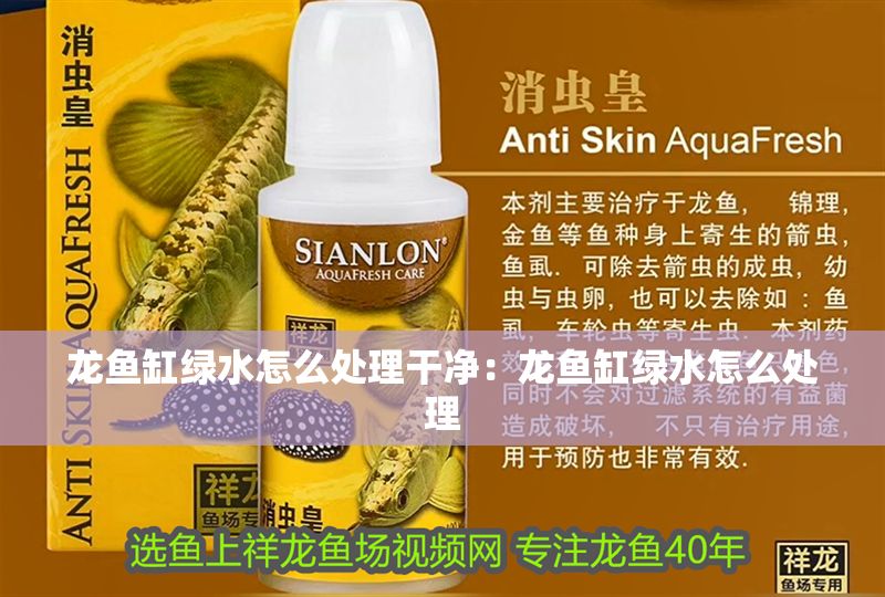 龍魚缸綠水怎么處理干凈：龍魚缸綠水怎么處理