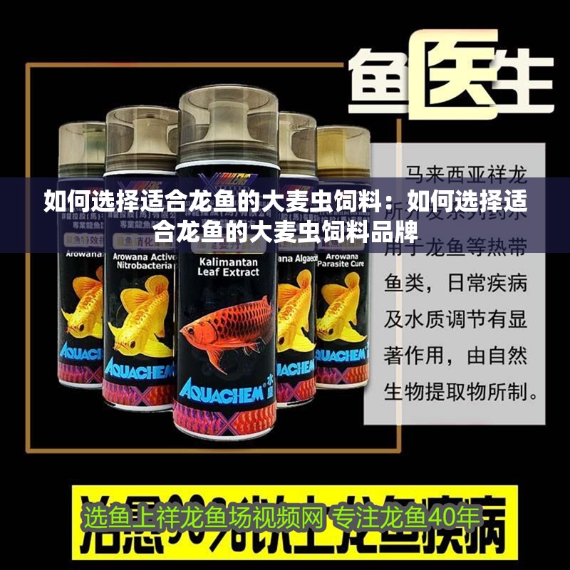 如何選擇適合龍魚的大麥蟲飼料：如何選擇適合龍魚的大麥蟲飼料品牌 如何選擇適合龍魚的大麥蟲飼料：如何選擇適合龍魚的大麥蟲飼料品牌 龍魚百科