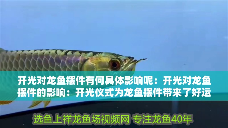 開光對龍魚擺件有何具體影響呢：開光對龍魚擺件的影響：開光儀式為龍魚擺件帶來了好運(yùn)和財(cái)富和好運(yùn)和財(cái)富的寶物