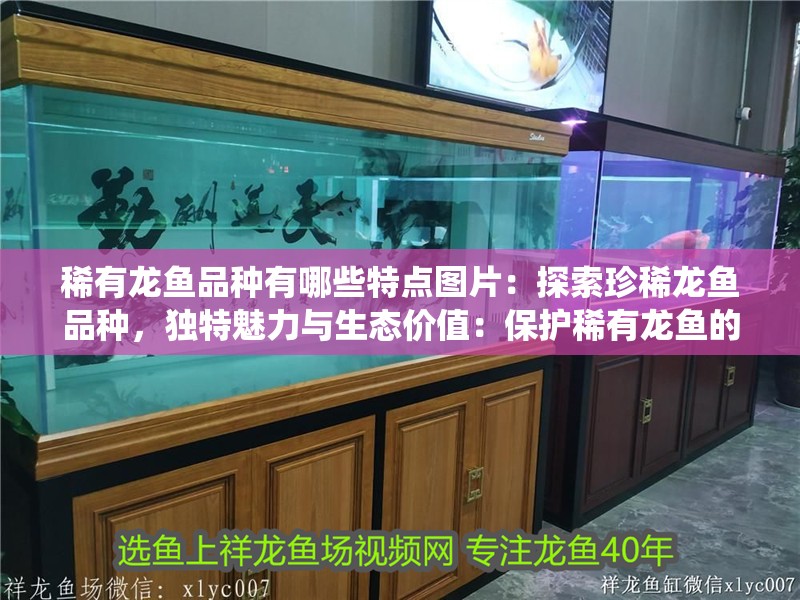 稀有龍魚品種有哪些特點圖片：探索珍稀龍魚品種，獨特魅力與生態(tài)價值：保護稀有龍魚的自然棲息地