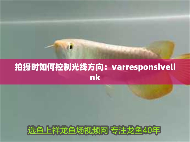 拍攝時(shí)如何控制光線方向：varresponsivelink