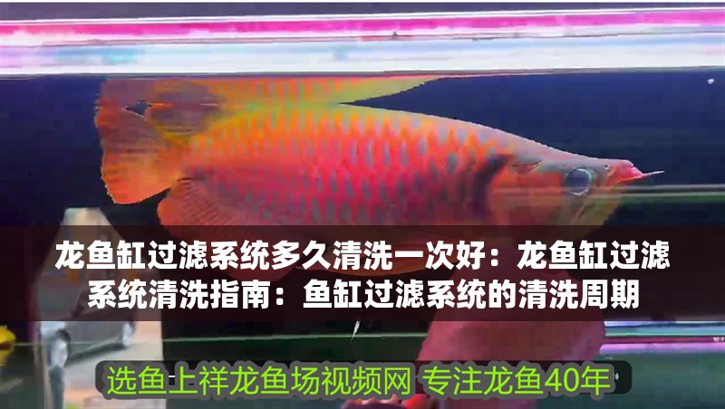 龍魚缸過濾系統(tǒng)多久清洗一次好：龍魚缸過濾系統(tǒng)清洗指南：魚缸過濾系統(tǒng)的清洗周期