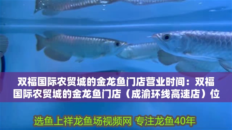 雙福國際農貿城的金龍魚門店營業時間：雙福國際農貿城的金龍魚門店（成渝環線高速店）位于江津區成渝環線高速店