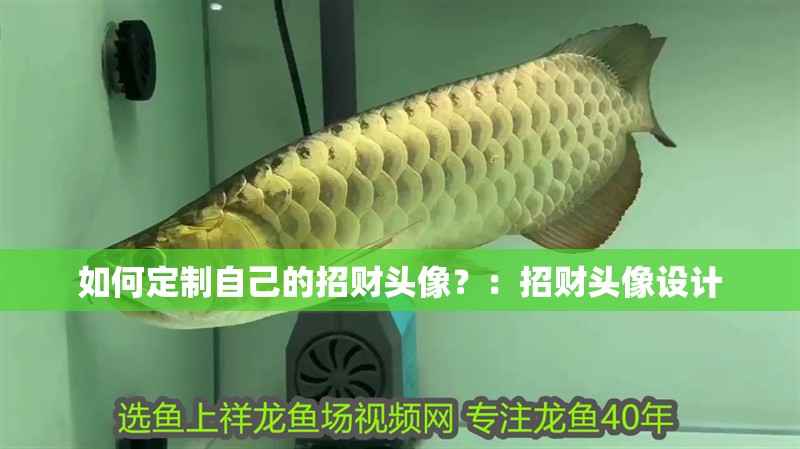 如何定制自己的招財頭像？：招財頭像設計