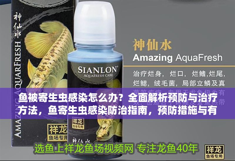 魚被寄生蟲感染怎么辦？全面解析預防與治療方法，魚寄生蟲感染防治指南，預防措施與有效治療方法