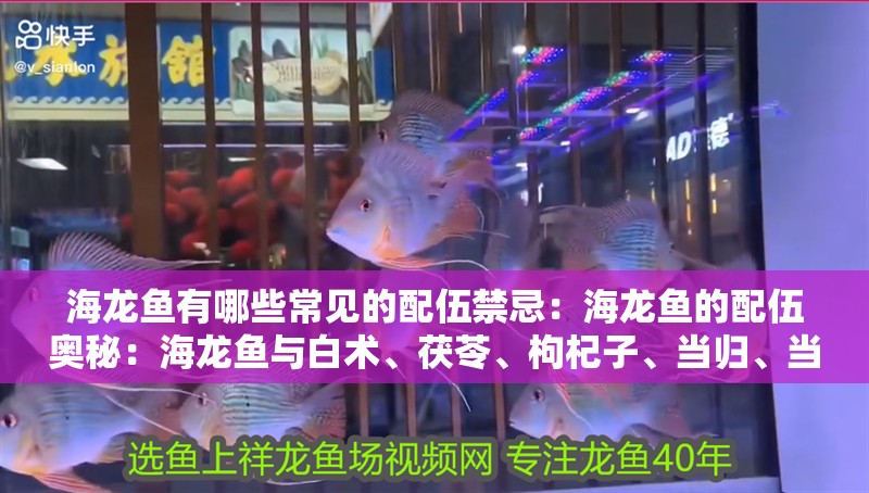 海龍魚有哪些常見的配伍禁忌：海龍魚的配伍奧秘：海龍魚與白術、茯苓、枸杞子、當歸、當歸的搭配