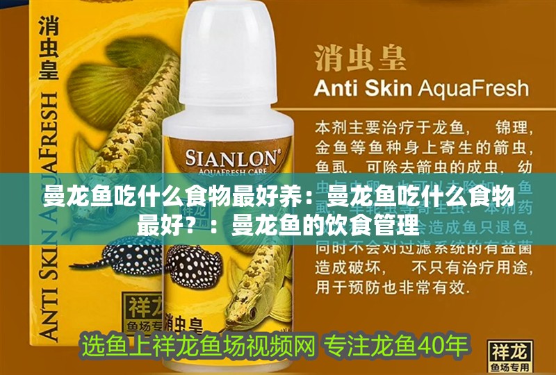 曼龍魚吃什么食物最好養(yǎng)：曼龍魚吃什么食物最好？：曼龍魚的飲食管理