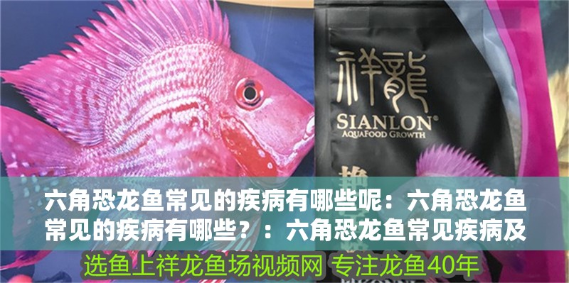 六角恐龍魚常見的疾病有哪些呢：六角恐龍魚常見的疾病有哪些？：六角恐龍魚常見疾病及其預防措施