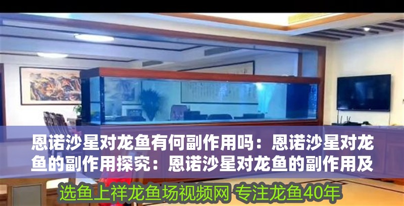 恩諾沙星對龍魚有何副作用嗎：恩諾沙星對龍魚的副作用探究：恩諾沙星對龍魚的副作用及其原因