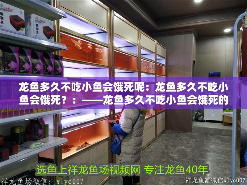 龍魚多久不吃小魚會餓死呢：龍魚多久不吃小魚會餓死？：——龍魚多久不吃小魚會餓死的問題