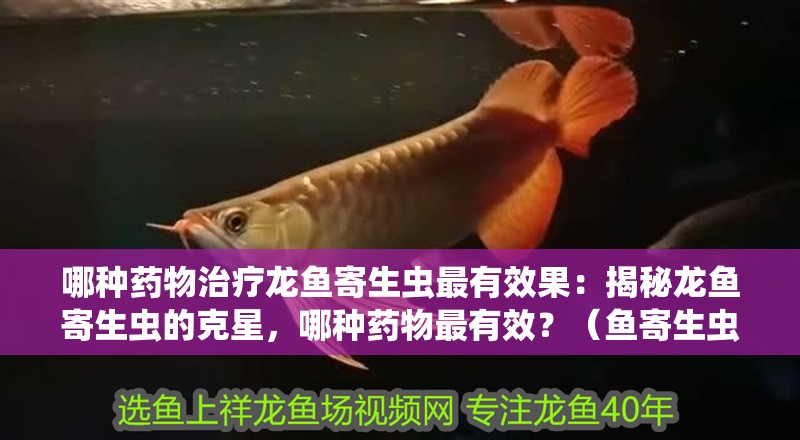 哪種藥物治療龍魚寄生蟲最有效果：揭秘龍魚寄生蟲的克星，哪種藥物最有效？（魚寄生蟲治療龍魚寄生蟲的藥物需要考慮多種因素和副作用）