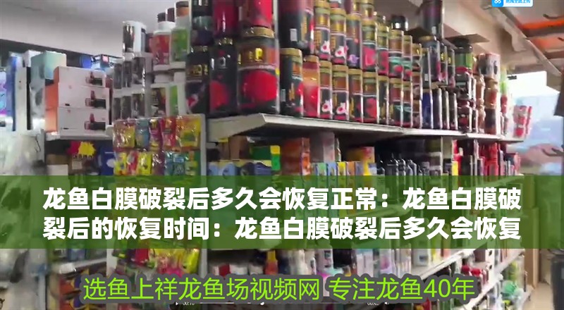 龍魚白膜破裂后多久會恢復正常：龍魚白膜破裂后的恢復時間：龍魚白膜破裂后多久會恢復正常
