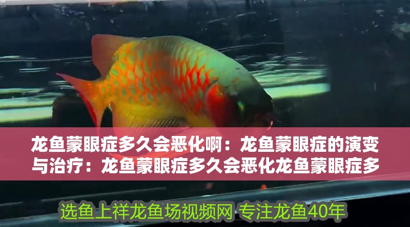 龍魚蒙眼癥多久會惡化啊：龍魚蒙眼癥的演變與治療：龍魚蒙眼癥多久會惡化龍魚蒙眼癥多久會惡化