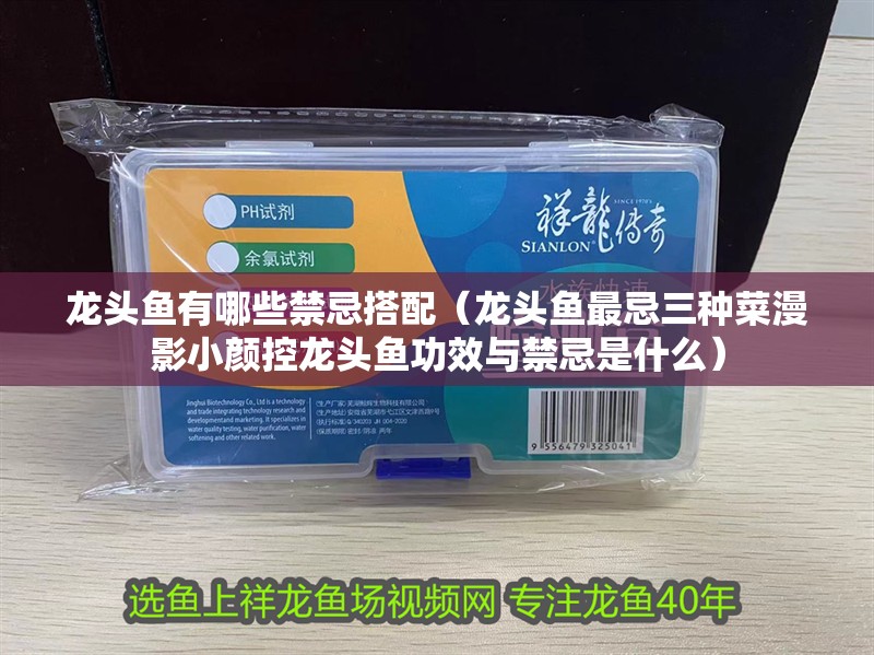 龍頭魚有哪些禁忌搭配（龍頭魚最忌三種菜漫影小顏控龍頭魚功效與禁忌是什么）