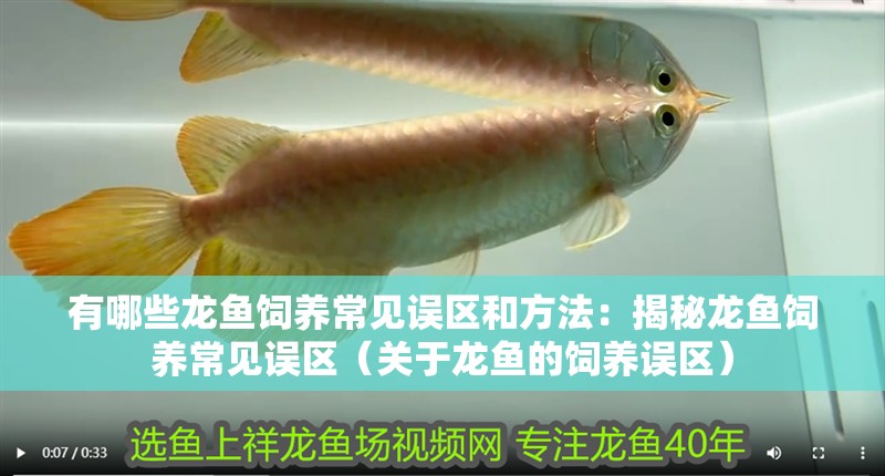 有哪些龍魚飼養常見誤區和方法：揭秘龍魚飼養常見誤區（關于龍魚的飼養誤區）