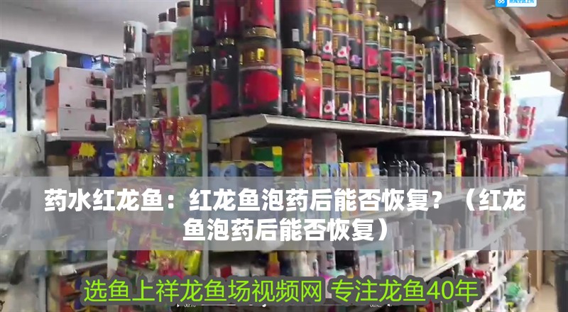 藥水紅龍魚：紅龍魚泡藥后能否恢復？（紅龍魚泡藥后能否恢復）