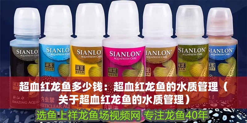 超血紅龍魚多少錢：超血紅龍魚的水質管理（關于超血紅龍魚的水質管理）