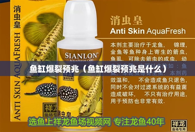 魚缸用增氧泵價(jià)格是多少:魚缸增氧機(jī)-xtrac增氧機(jī)-xtrac增氧機(jī) 魚缸爆裂預(yù)兆(魚缸爆裂預(yù)兆是什么) 觀賞魚百科 魚缸爆裂預(yù)兆(魚缸爆裂預(yù)兆是什么) 魚缸爆裂預(yù)兆(魚缸爆裂預(yù)兆是什么) 觀賞魚百科