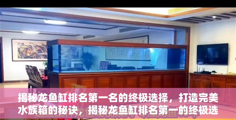 揭秘龍魚缸排名第一名的終極選擇，打造完美水族箱的秘訣，揭秘龍魚缸排名第一的終極選擇，完美水族箱打造全攻略