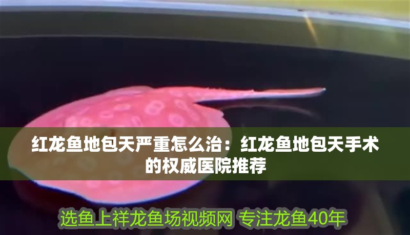 紅龍魚地包天嚴(yán)重怎么治：紅龍魚地包天手術(shù)的權(quán)威醫(yī)院推薦
