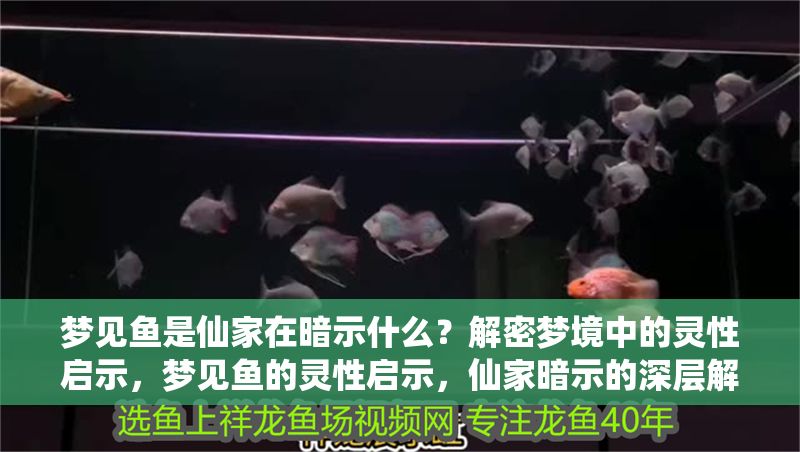 夢見魚是仙家在暗示什么？解密夢境中的靈性啟示，夢見魚的靈性啟示，仙家暗示的深層解讀