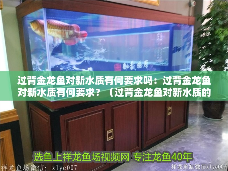 過背金龍魚對新水質有何要求嗎：過背金龍魚對新水質有何要求？（過背金龍魚對新水質的要求）