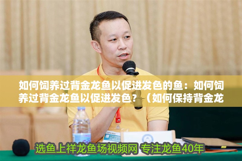 如何飼養過背金龍魚以促進發色的魚：如何飼養過背金龍魚以促進發色？（如何保持背金龍魚的顏色）