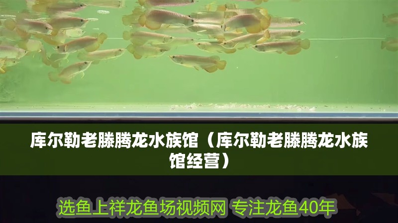 庫爾勒老滕騰龍水族館（庫爾勒老滕騰龍水族館經營）