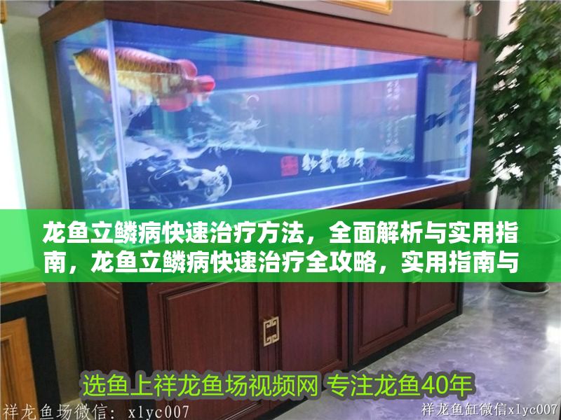 龍魚立鱗病快速治療方法，全面解析與實用指南，龍魚立鱗病快速治療全攻略，實用指南與全面解析
