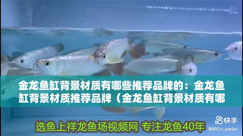 金龍魚缸背景材質有哪些推薦品牌的：金龍魚缸背景材質推薦品牌（金龍魚缸背景材質有哪些？）