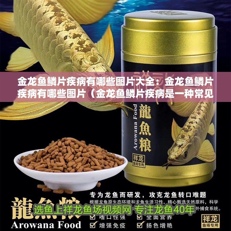 金龍魚鱗片疾病有哪些圖片大全：金龍魚鱗片疾病有哪些圖片（金龍魚鱗片疾病是一種常見的金龍魚鱗片疾病的圖片示例）