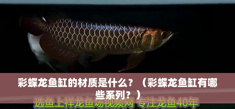 彩蝶龍魚缸的材質是什么？（彩蝶龍魚缸有哪些系列？）