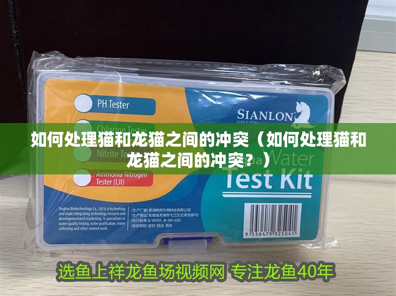 如何處理貓和龍貓之間的沖突（如何處理貓和龍貓之間的沖突？）
