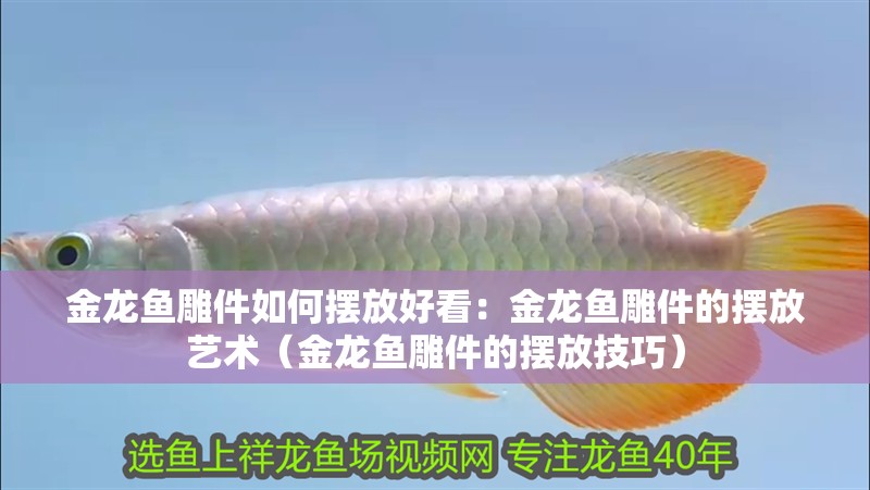 金龍魚雕件如何擺放好看：金龍魚雕件的擺放藝術（金龍魚雕件的擺放技巧）